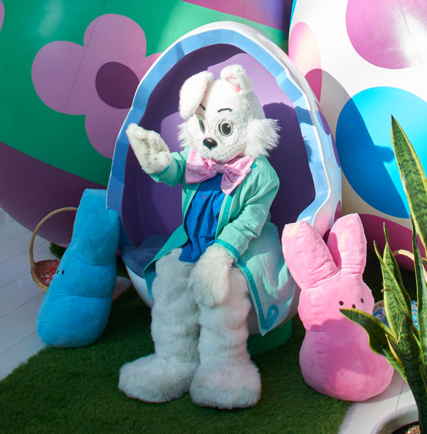 Photos with Easter Bunny at Mall of America
