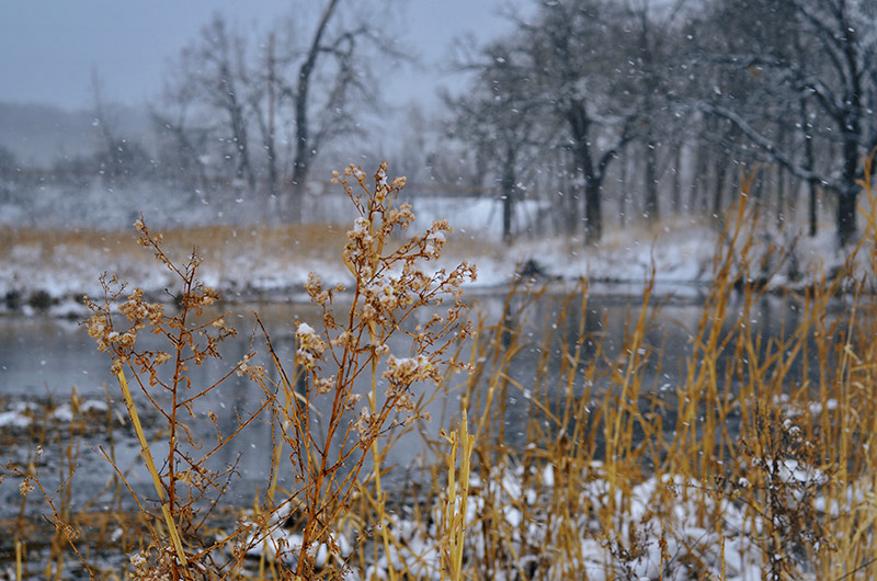 A snowy landscape at the Wildlife Refuge