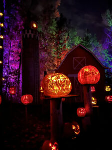 Carved jack-o-lanterns at Jack-o-Lantern Spectacular