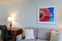 022_Suite_rm484_MSPMP_7268
