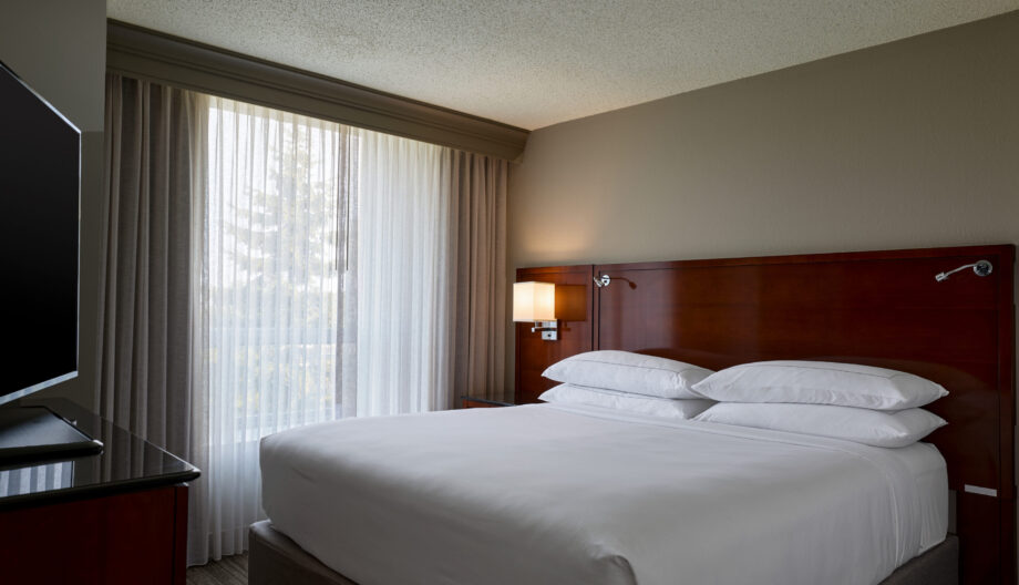 022_Suite_rm484_MSPMP_7280