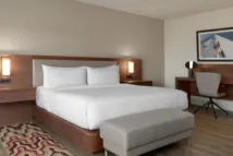 DoubelTree-South-1-King-Standard