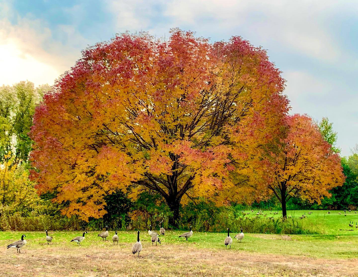 Fall Weekend in Bloomington | Minnesota Itinerary