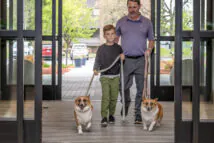 Pet-Friendly-Hotel