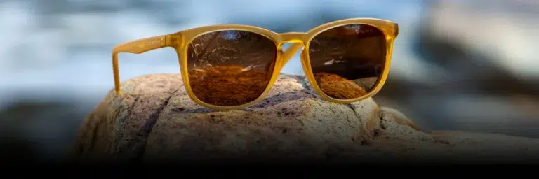 $20 Off any Sunglass Purchase