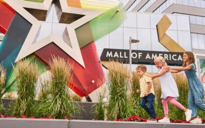 Mall of America Family Fun Package