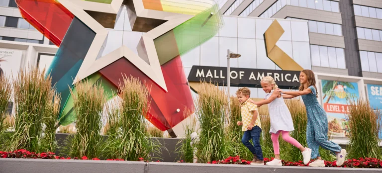 Mall of America Family Fun Package