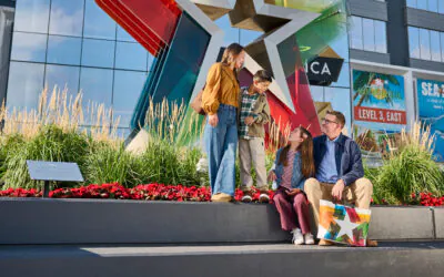 Mall of America Stay & Play - Coupons Package