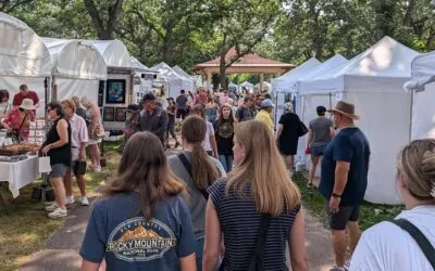 Minnehaha Falls Art Fair
