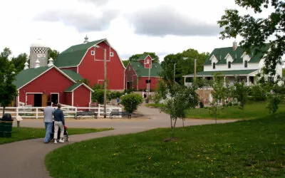 Farm Babies