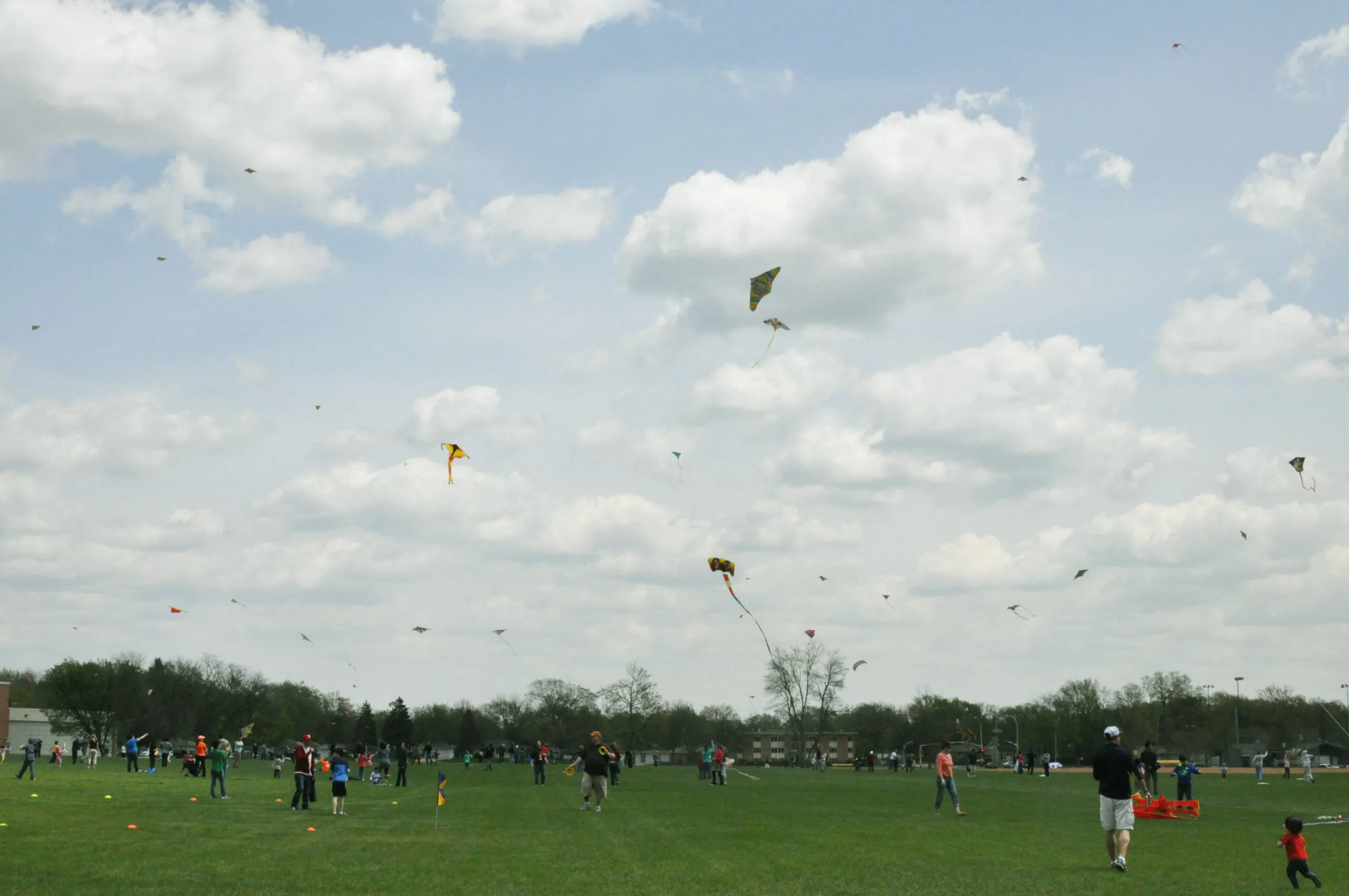 A group of people on a grassy field fly kites