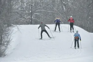 image of cross country skiers