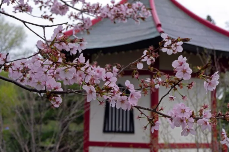 Normandale Japanese Garden