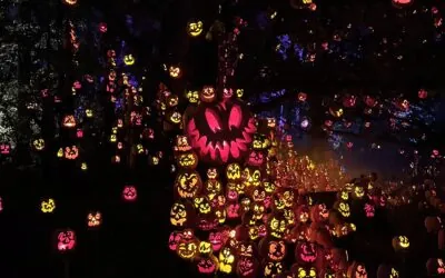 Jack-O-Lantern Spectacular