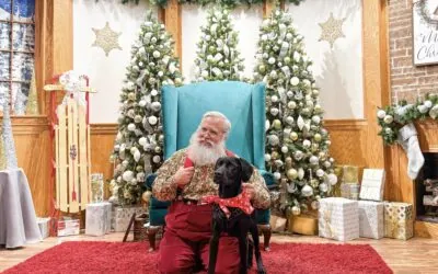 Pet Night with Santa
