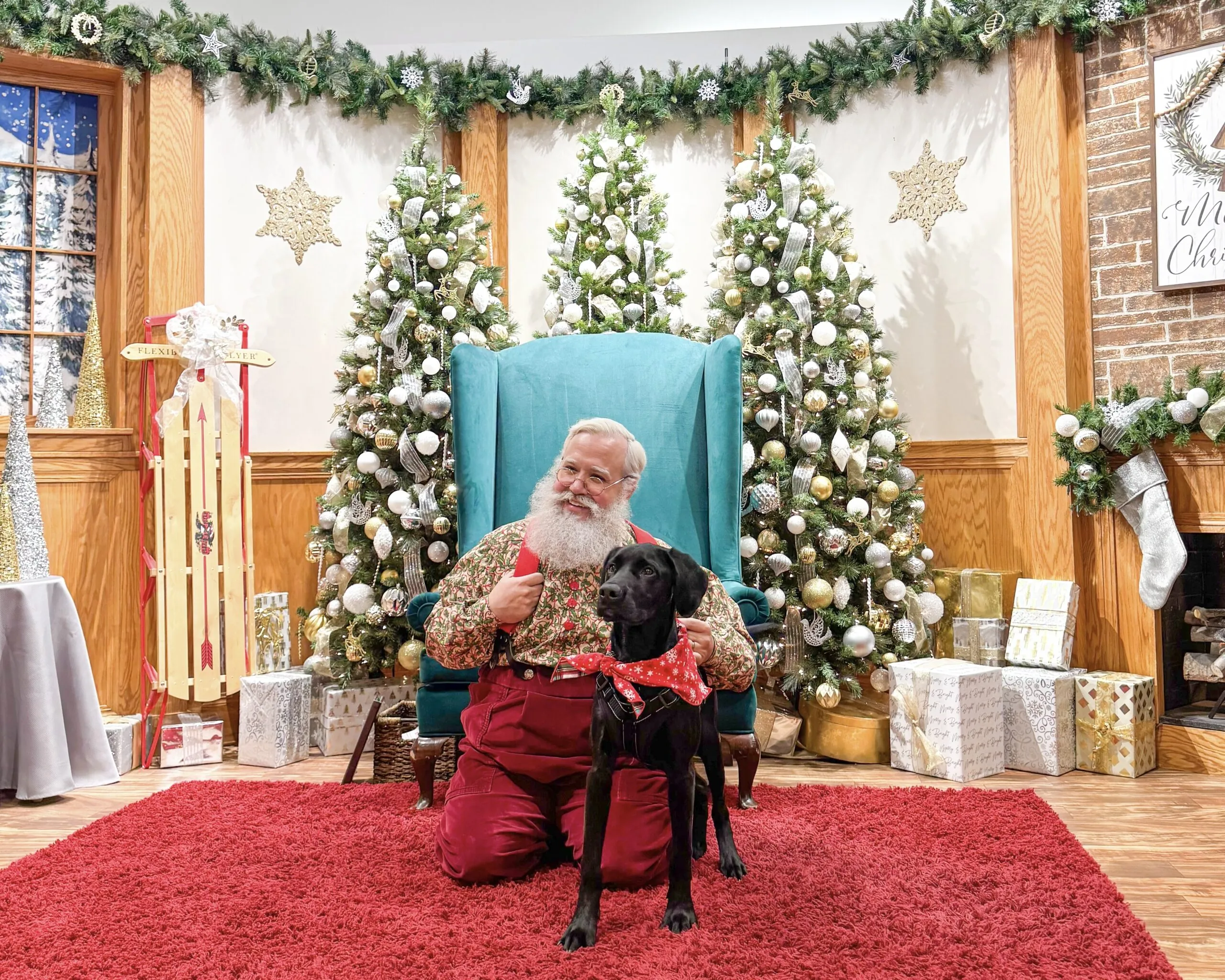 Santa Claus posing with a black lab puppy.