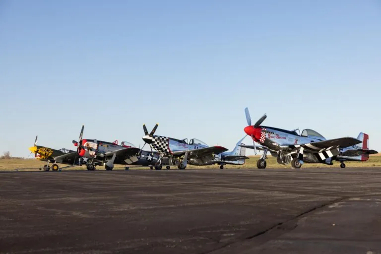 Free Admission for Children Aged 9 and Under