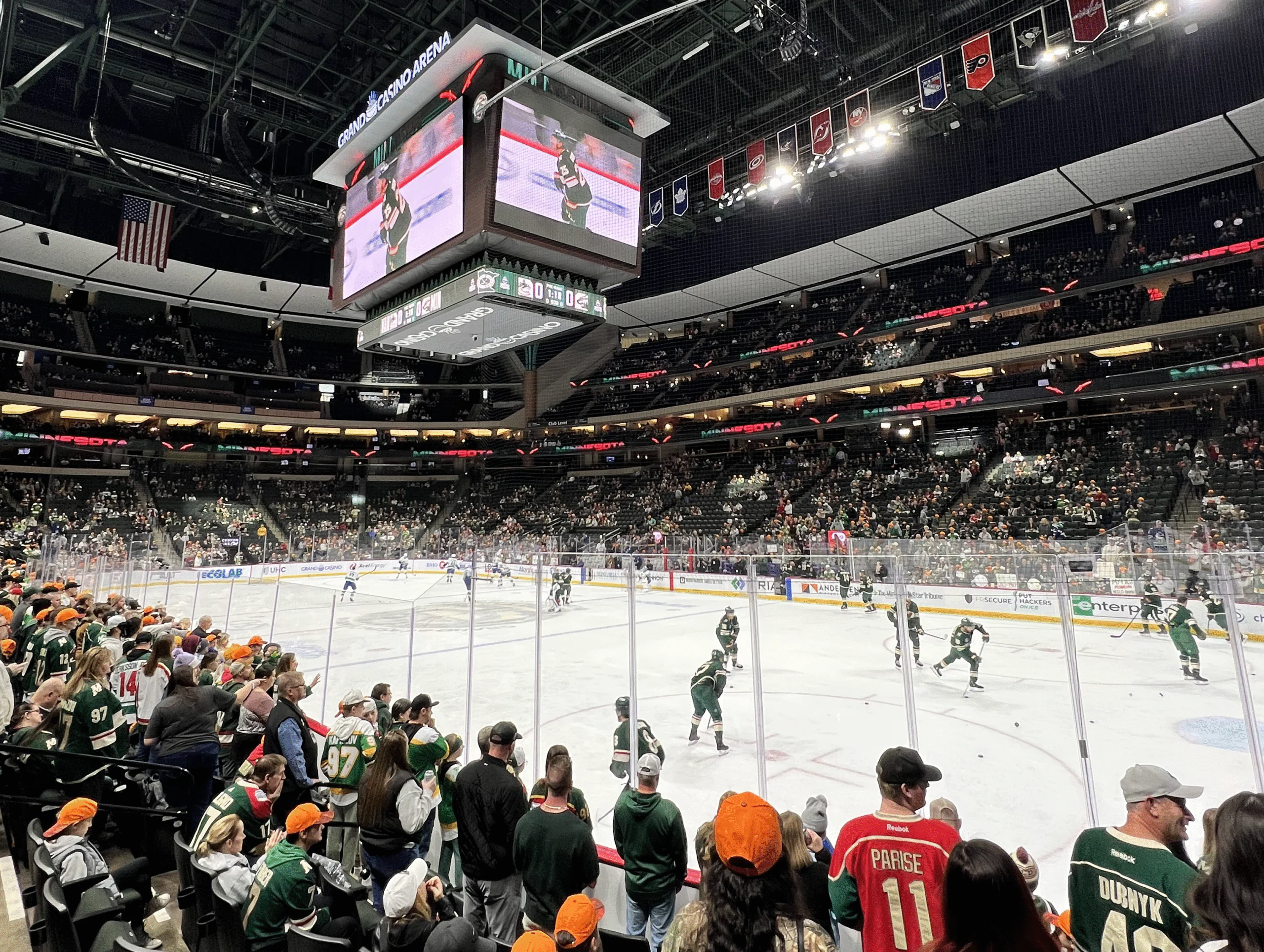 image of minnesota wild game