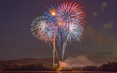 Bloomington Summer Fete 2026