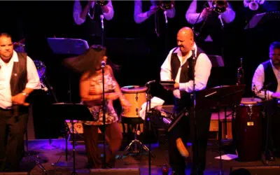 Sunday Funday: Tropical Zone Orchestra
