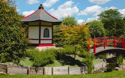 Normandale Japanese Garden 50th Anniversary
